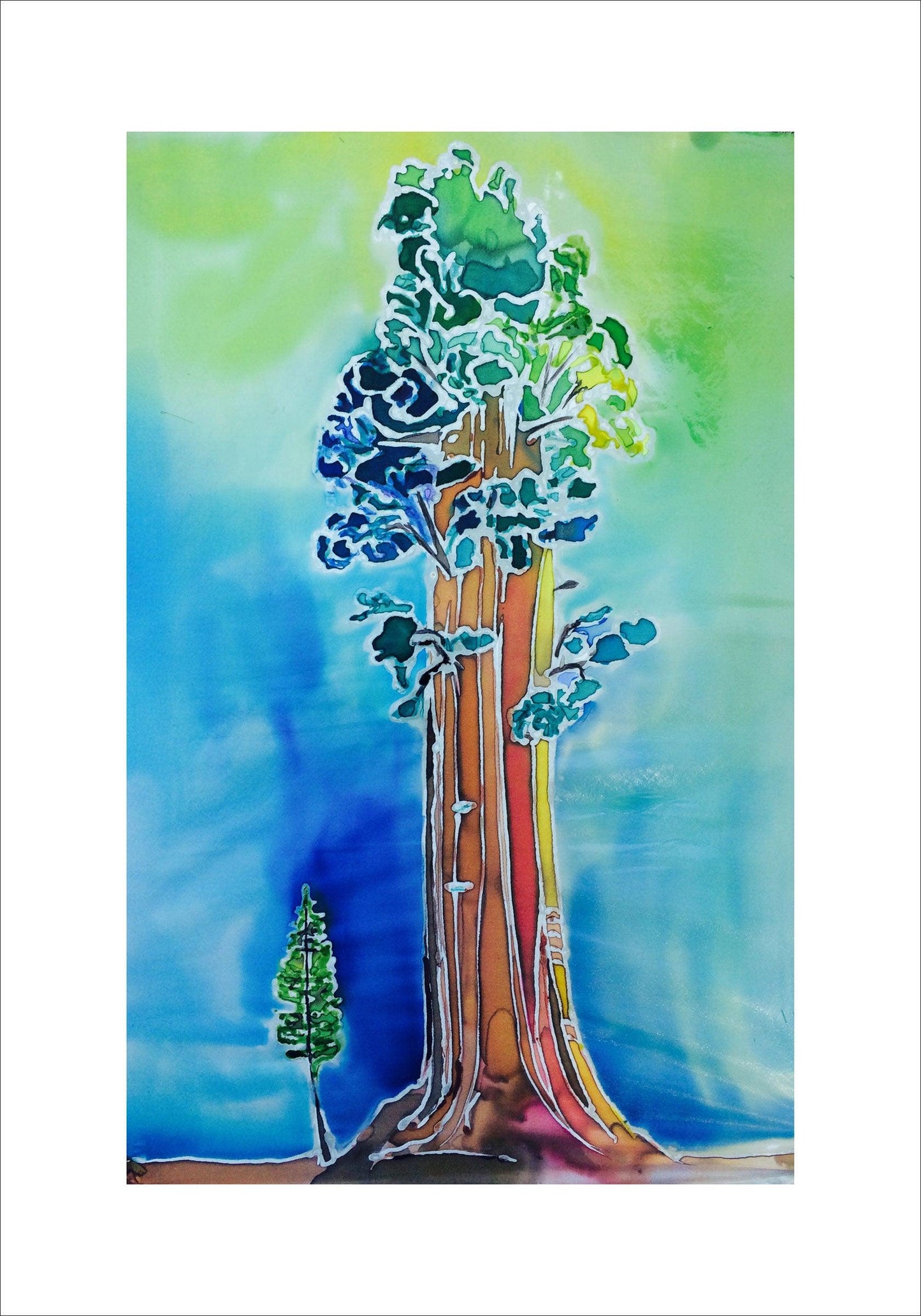 Giant Sequoia Tree and Tiny Friend - My Store