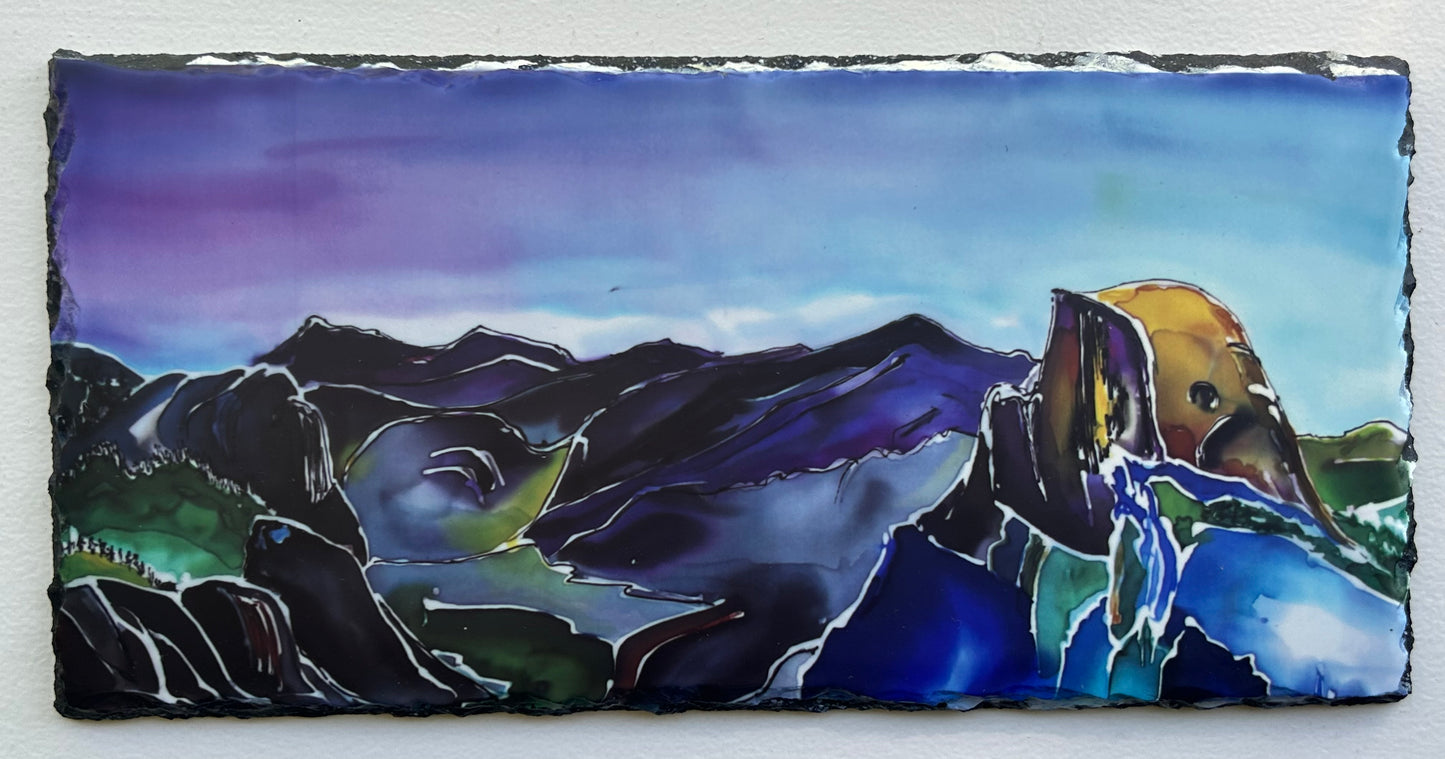 Half Dome in Indigo Slate