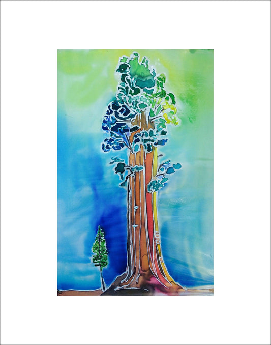 Giant Sequoia Tree and Tiny Friend - My Store