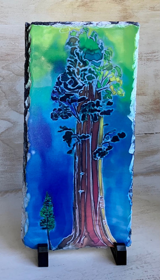 Giant Sequoia and Tiny Friend